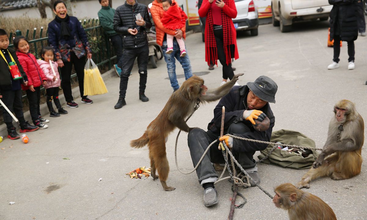 街头耍猴最精彩最逗乐的是人猴互耍,咬你打你都是演戏|耍猴人|赏钱|猴戏|节目|零钱_新浪新闻
