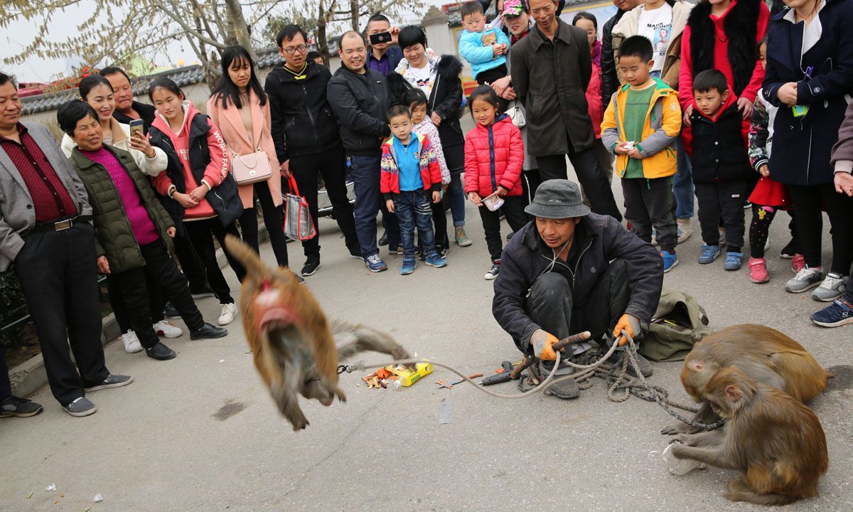 街头耍猴最精彩最逗乐的是人猴互耍,咬你打你都是演戏