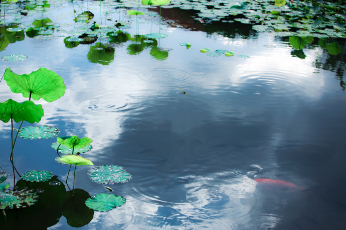 半亩方塘一鉴开天光云影共徘徊