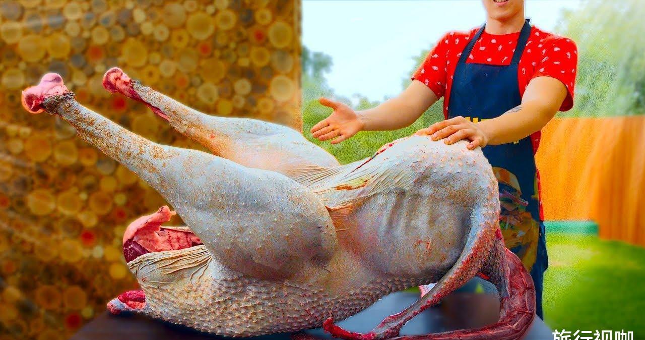 老外用50斤粗盐烤整只鸵鸟吃,足足烤了24小时,看到成品流口水了