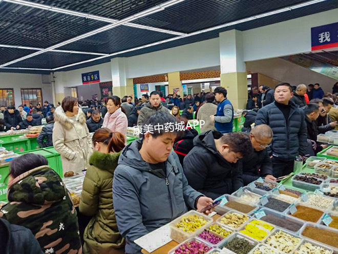 开市啦成都亳州药材市场开市第一天好热闹
