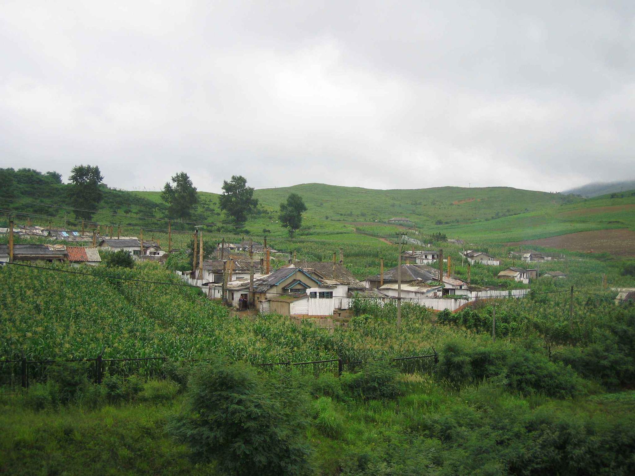 农村脱贫乡村发展,有专家建议禁止农民零散养猪,你怎么看?