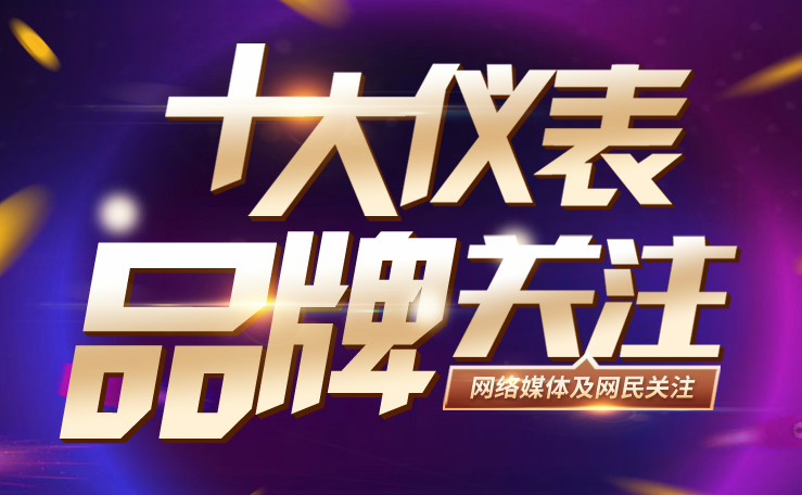 电子测量尺品牌排行_2016年度十大电子仪表关注品牌盘点(2)