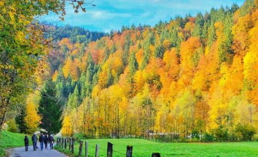 清澈透明的河流湖泊,神秘幽静的森林,高耸入云的雪山等绝美自然风景