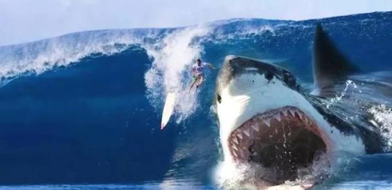 海下一万米发现巨型远古生物,《锯齿鲨》一口就能将鲸鱼咬成两半