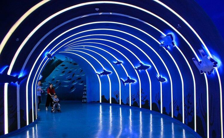 走在海底隧道仿佛漫步深海来海底世界馆圆你的海洋梦