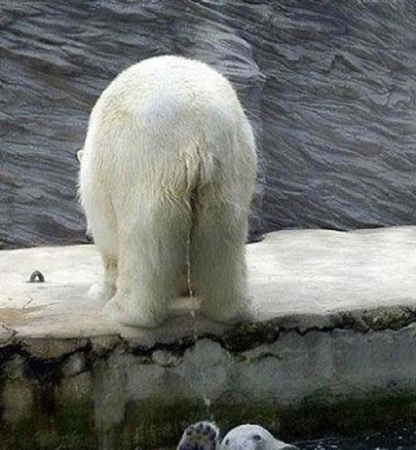 爆笑gif底盘不稳,摔得真疼啊