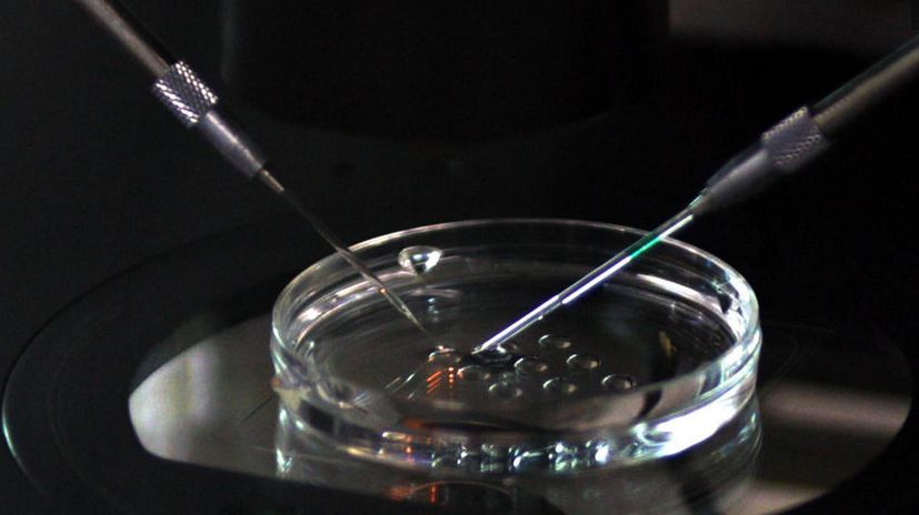 试管婴儿取卵后出现腹胀该怎么办