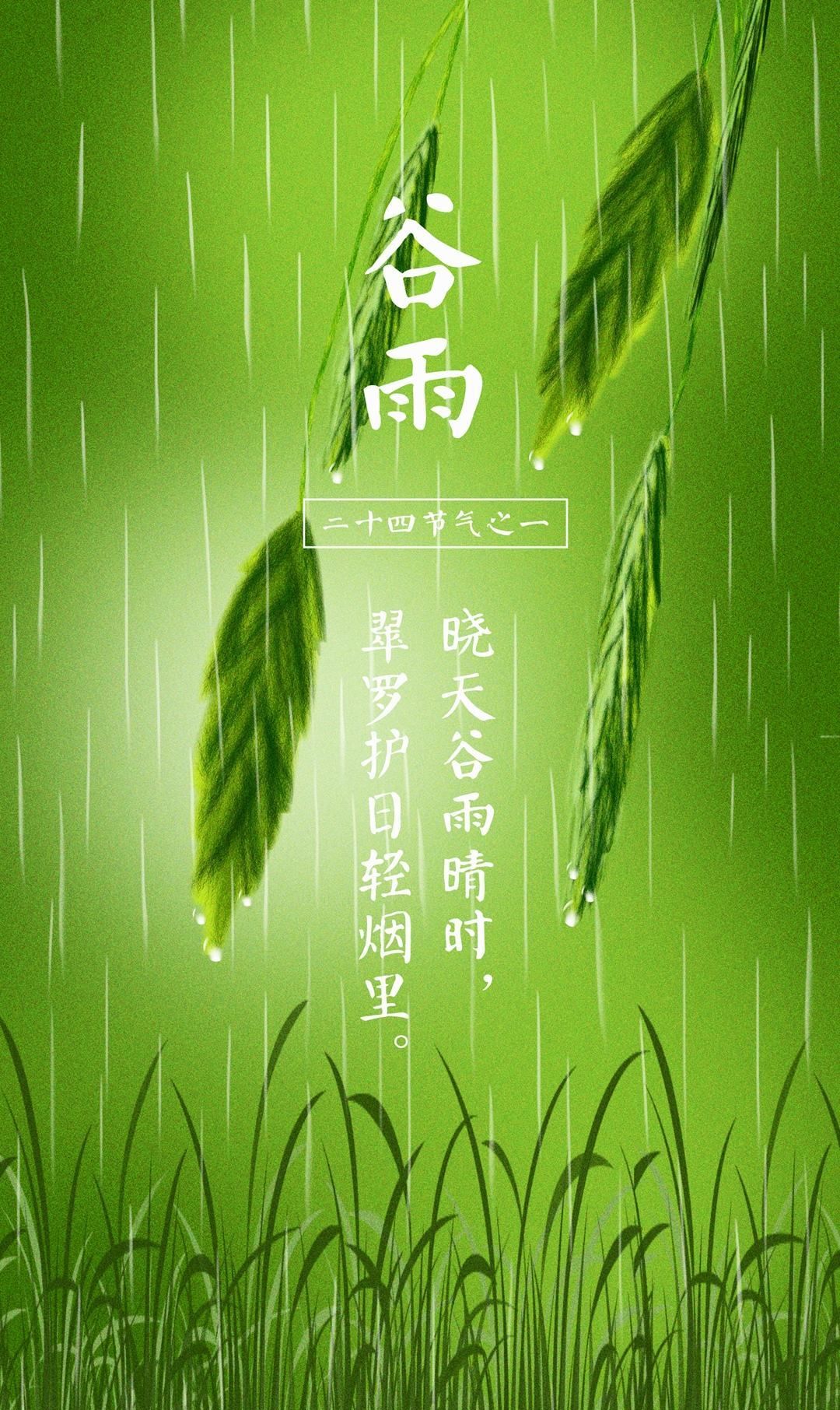 吹面不寒杨柳风谷雨季节晴时雨之今日谷雨