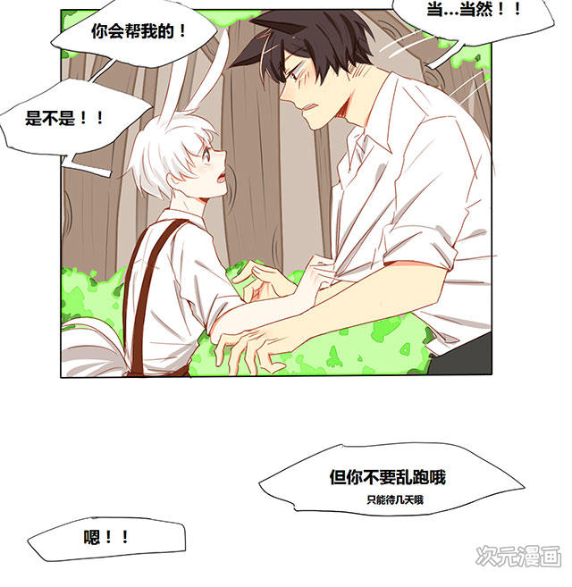 似兔非兔强攻弱受暖心狼人与软萌兔狐的恋爱