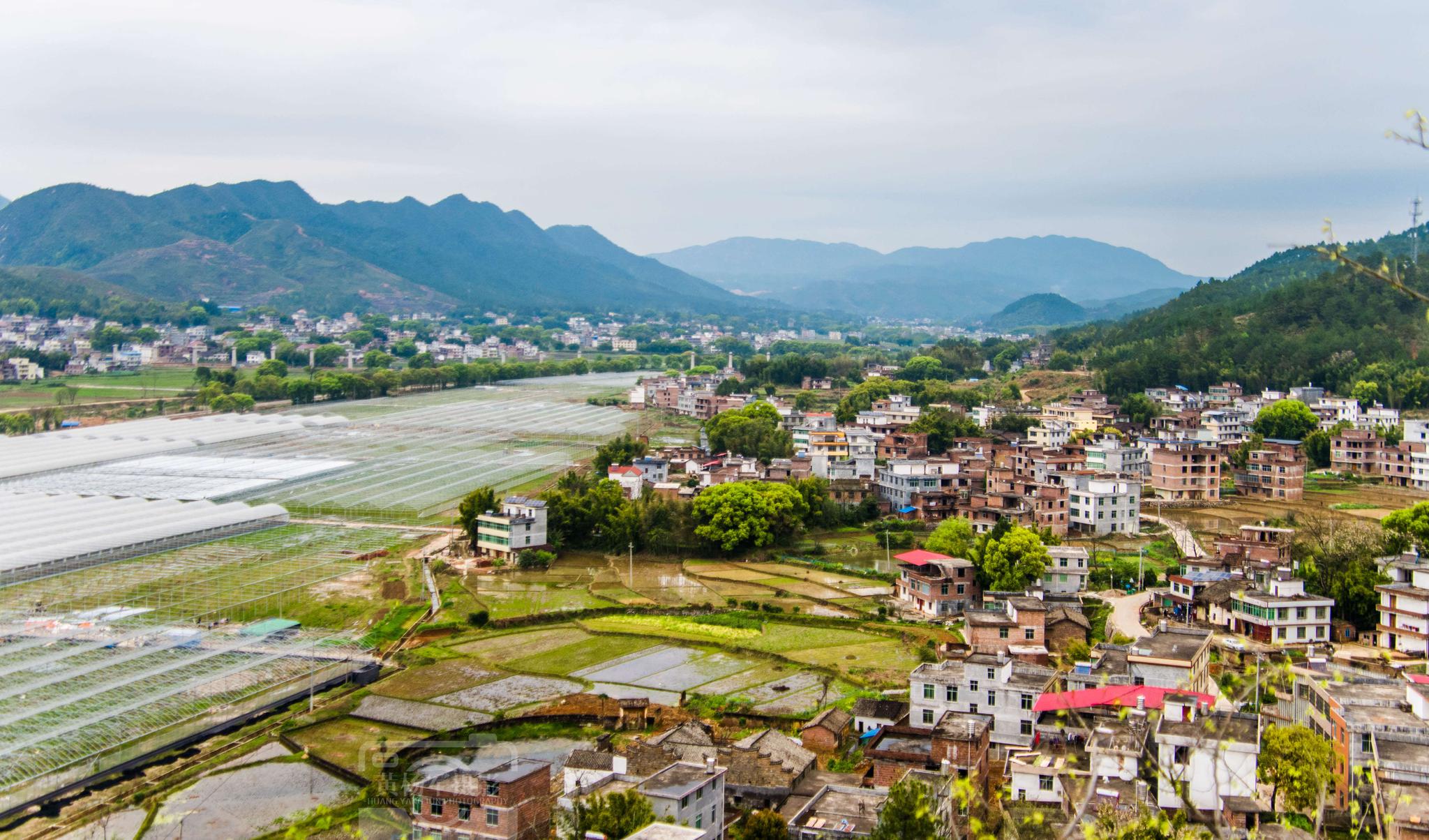 银坑镇平安年丰千亩蔬菜园