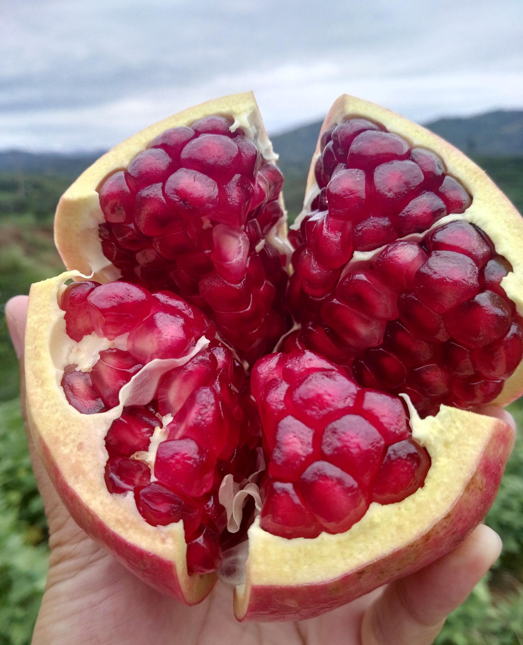 大凉山回来一年一度的石榴节
