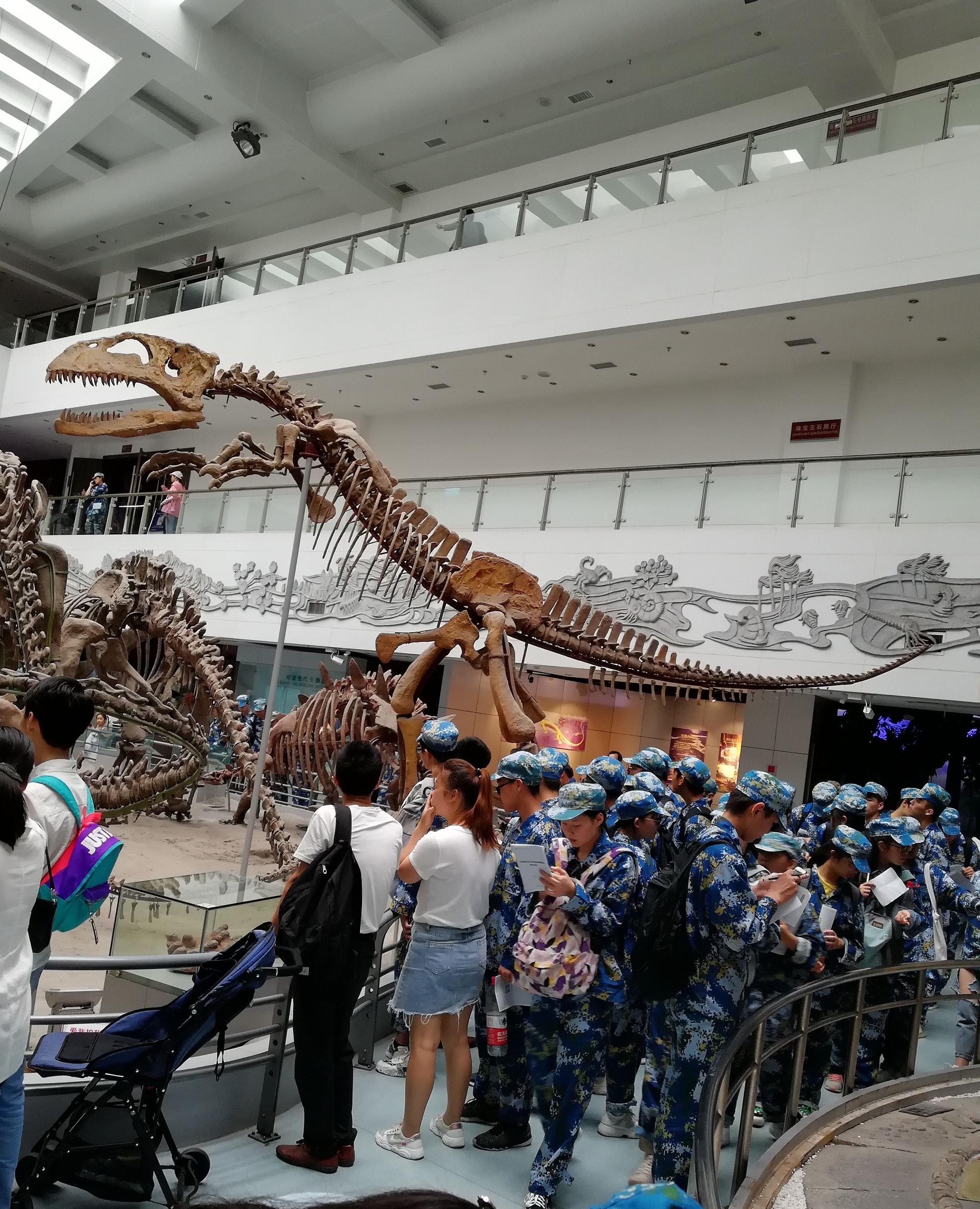 中国地质大学博物馆