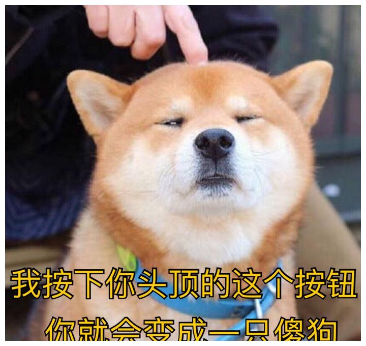 我年前就把钱花没了,我就是我,不一样的烟火,瞅着自己都上火!