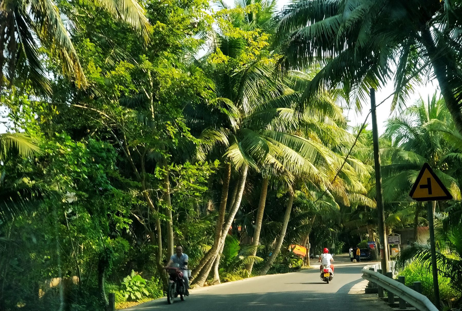 游荡在海南东郊椰林,才知道什么叫富足和惬意的生活