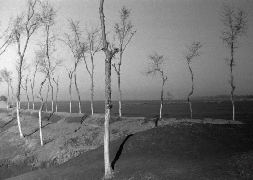 挨饿年代是什么体验?80张老照片真实还原1942大饥荒_新浪新闻