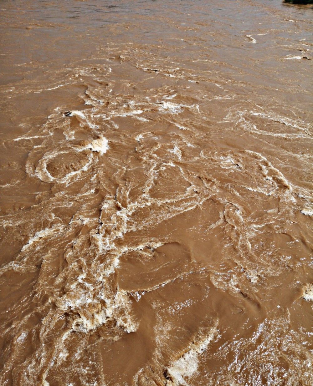 入夏以来兰州黄河水位陡涨,不看河水的颜色真以为到了江南|雁滩|兰州