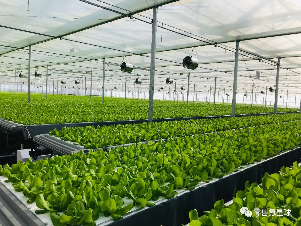 除了人造肉,"植物工厂"也来了,7-11和京东都在做?