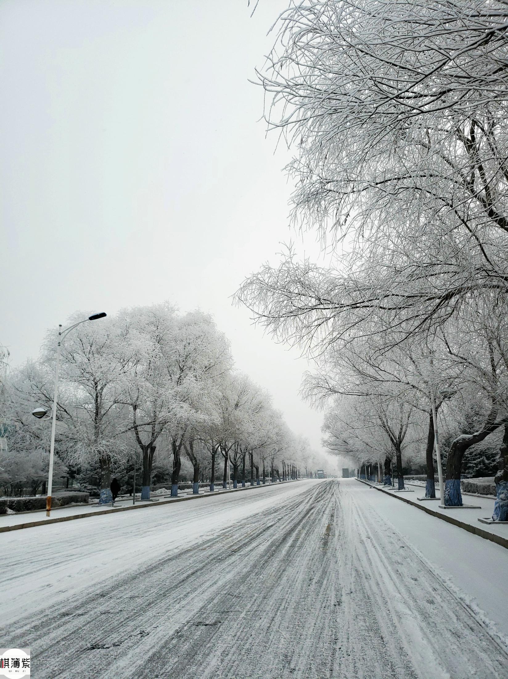 南方植树东北下雪忍不住吟诗一首哈尔滨的3月银装素裹