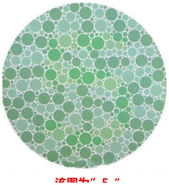 考驾照之色盲测试:看到了图3中的"5"吗?那你体检就能合格