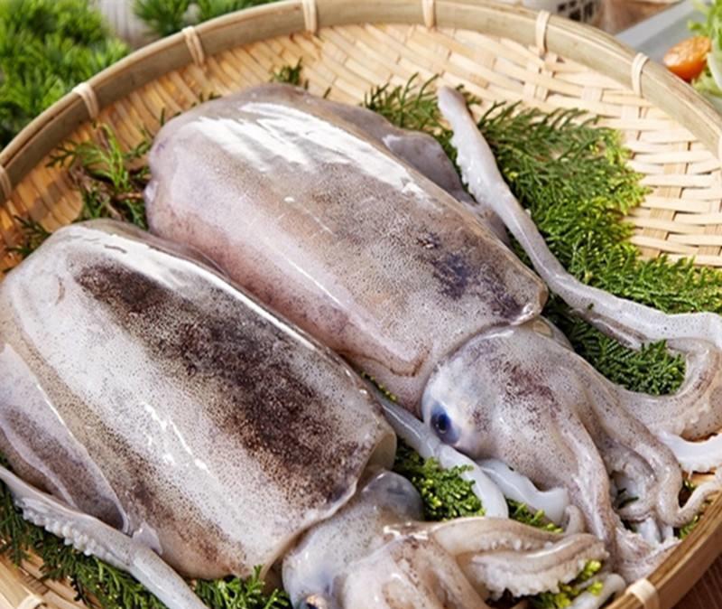 你还在苦苦分不清鱿鱼,墨鱼,八爪鱼吗?|鱿鱼|八爪鱼|墨鱼_新浪新闻