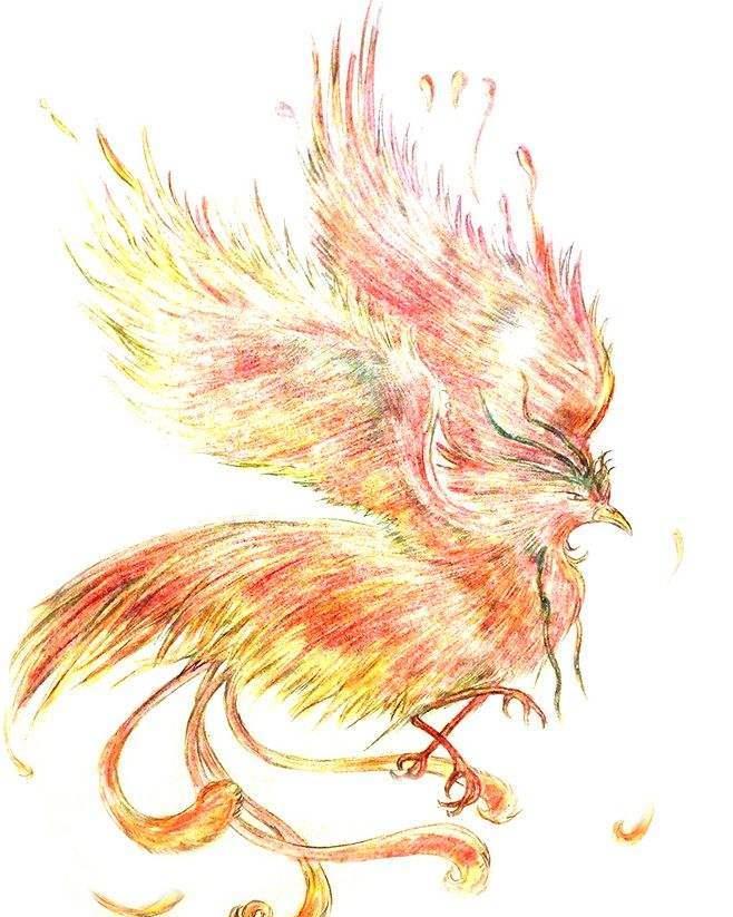 三足金乌,又称青鸟或三足乌,被认为是居住在太阳里的乌鸦.