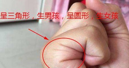 手掌中这条线分叉头胎会生双胞胎一般人都没有
