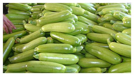 中医南瓜籽,黄瓜籽,葫芦籽和红柳花的用途是什么？