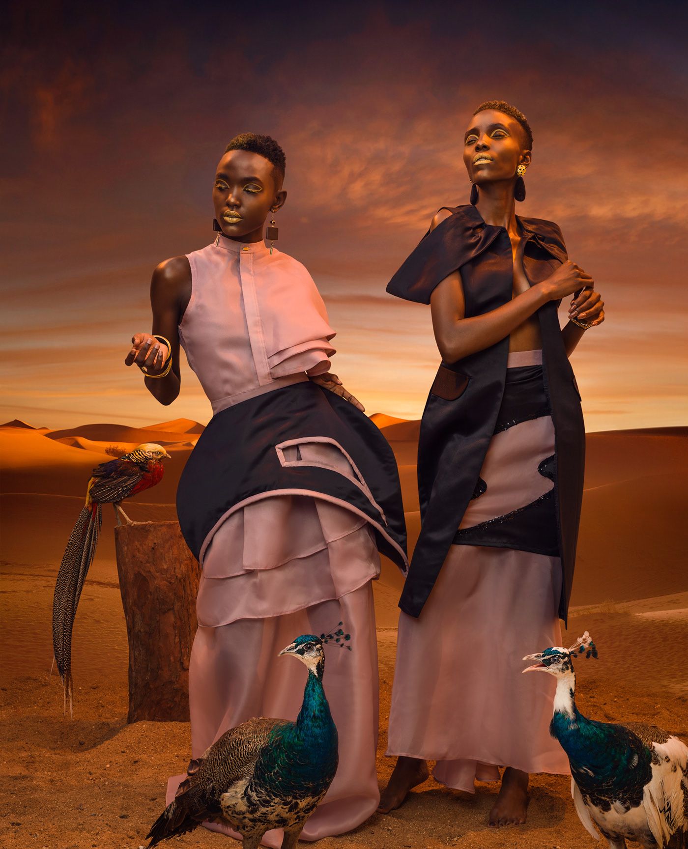 fiona kay 2019春夏女装时尚大片