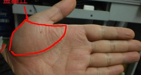 在手相学中,一个人的手相包含着很多东西,包括人的事业,婚姻,财运等等