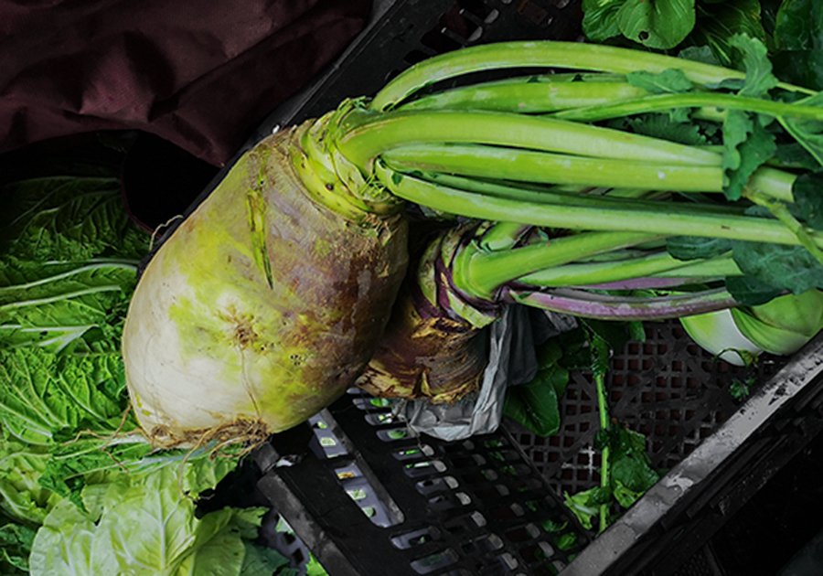 冬至节宁波人习惯吃大头菜烤年糕不知你们那这个节气吃什么