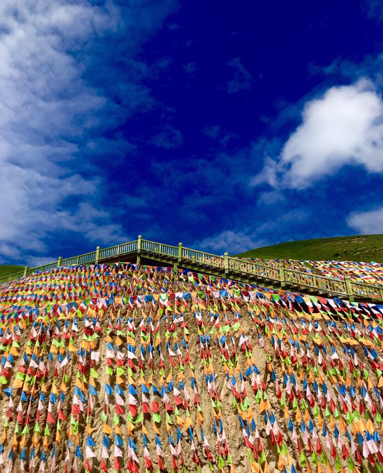 红山口下,一片翠绿