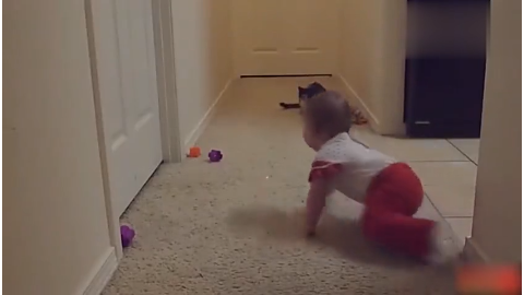 猫咪躺在床上哄小宝宝睡觉,这个喵星人真的不