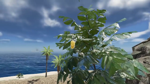 德哥荒岛求生60天,看看德哥相貌变化好大啊!