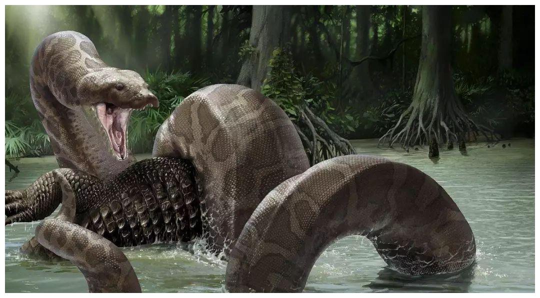 20吨的口腔撕咬力量超过了霸王龙,咬鲸鱼就像人们吃饼干差不多!