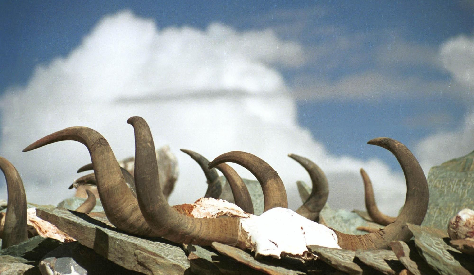 云南彝族女青年身着新装参加同伴的婚礼