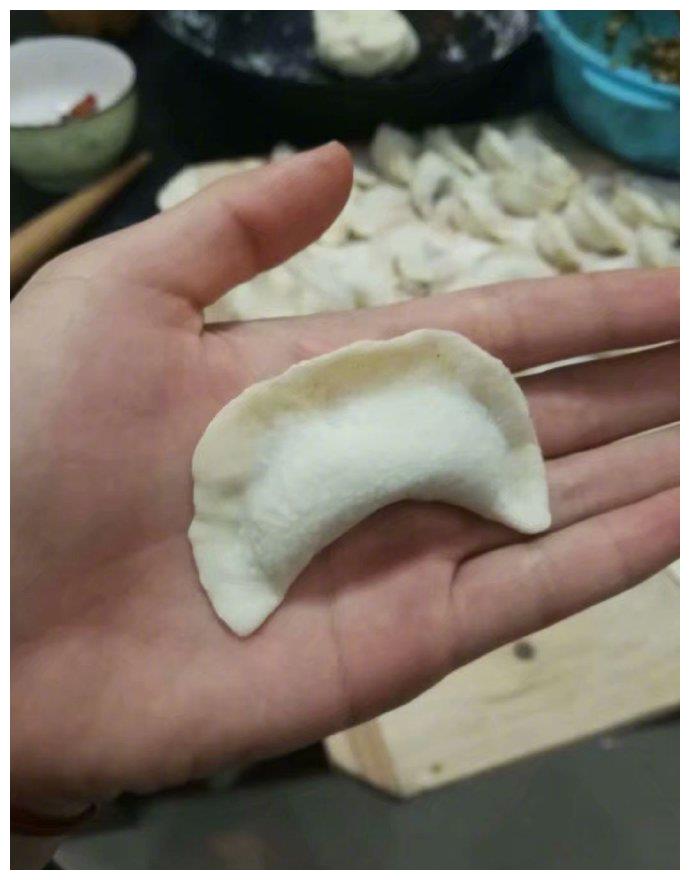 沙雕网友制作的新型饺子馅料,想想就觉得刺激