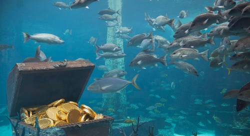 大家都会想起电影《泰坦尼克号》,当年的泰坦尼克号游轮可以说在世界