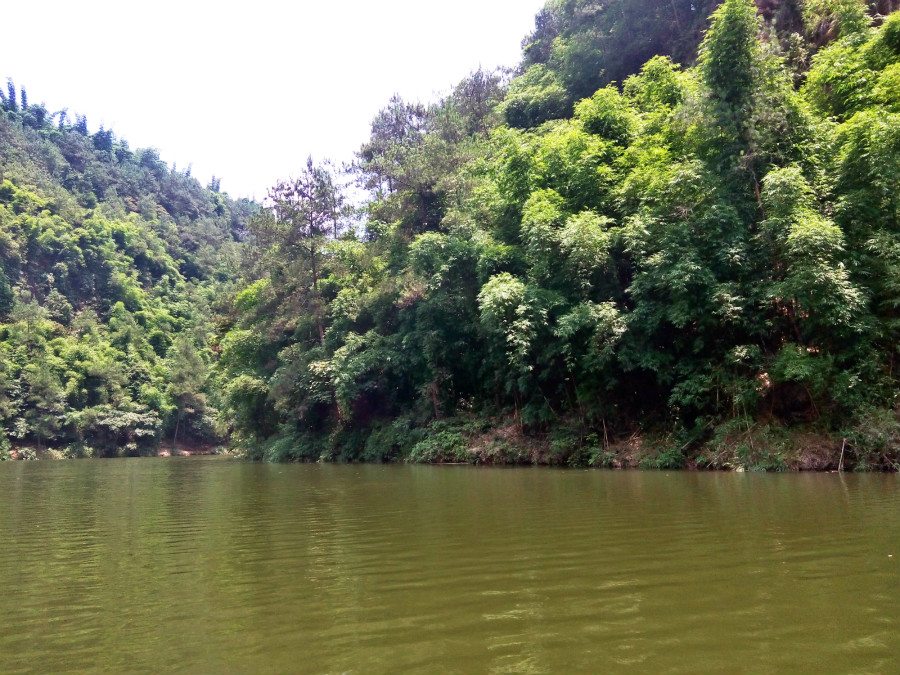 自贡尖山风景区不仅桃花美丽还有一种漂亮的鸟你见过吗