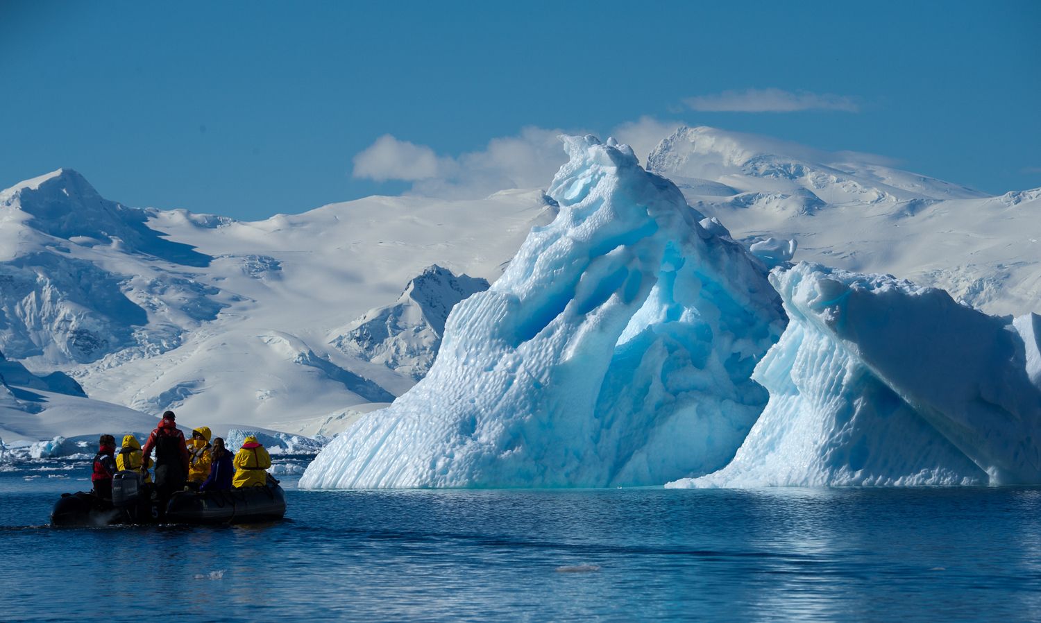 我的老婆是冰山总裁沈浪最新章节