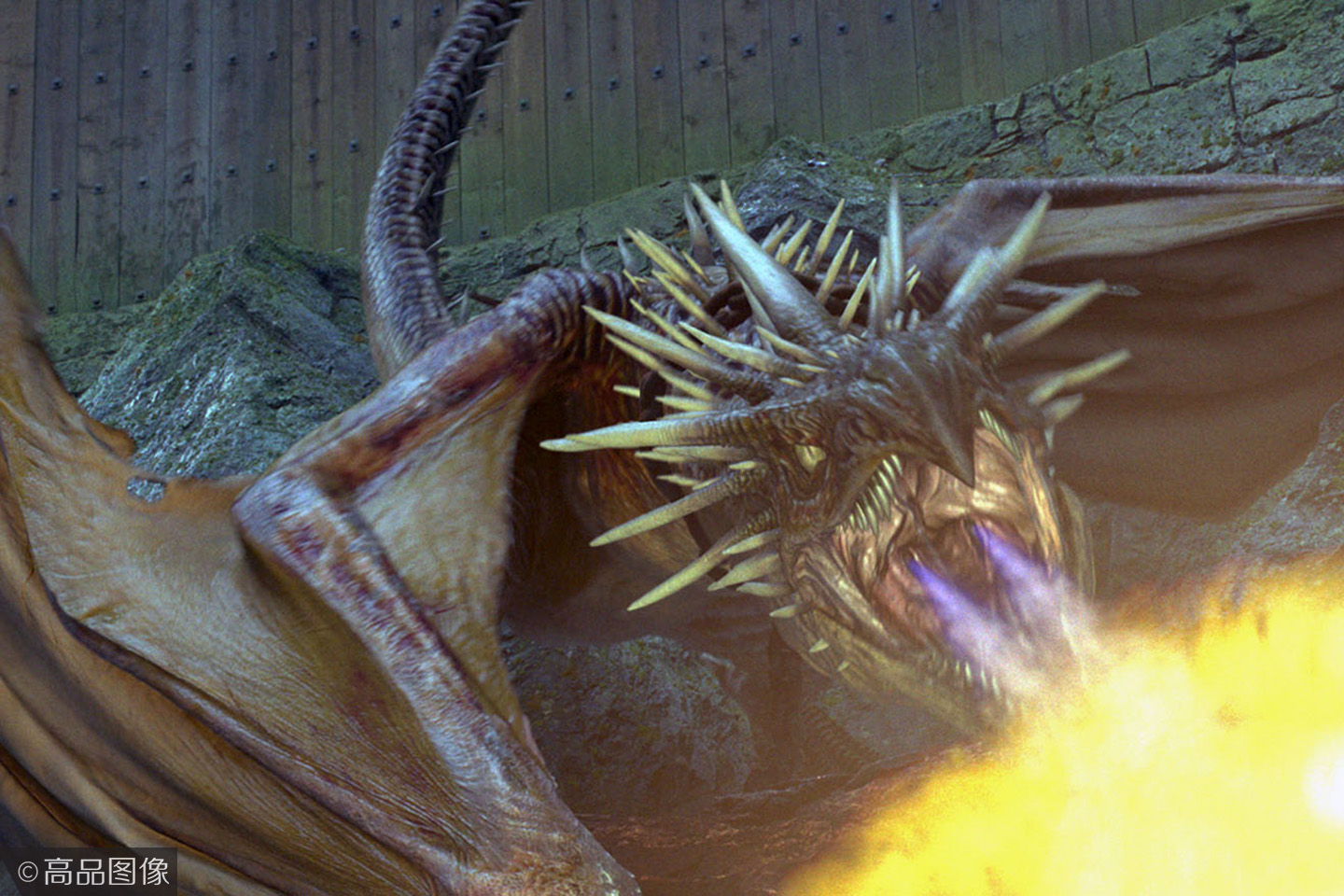 驯龙高手里的没牙仔大概是外国电影里颜值最高的一条龙了