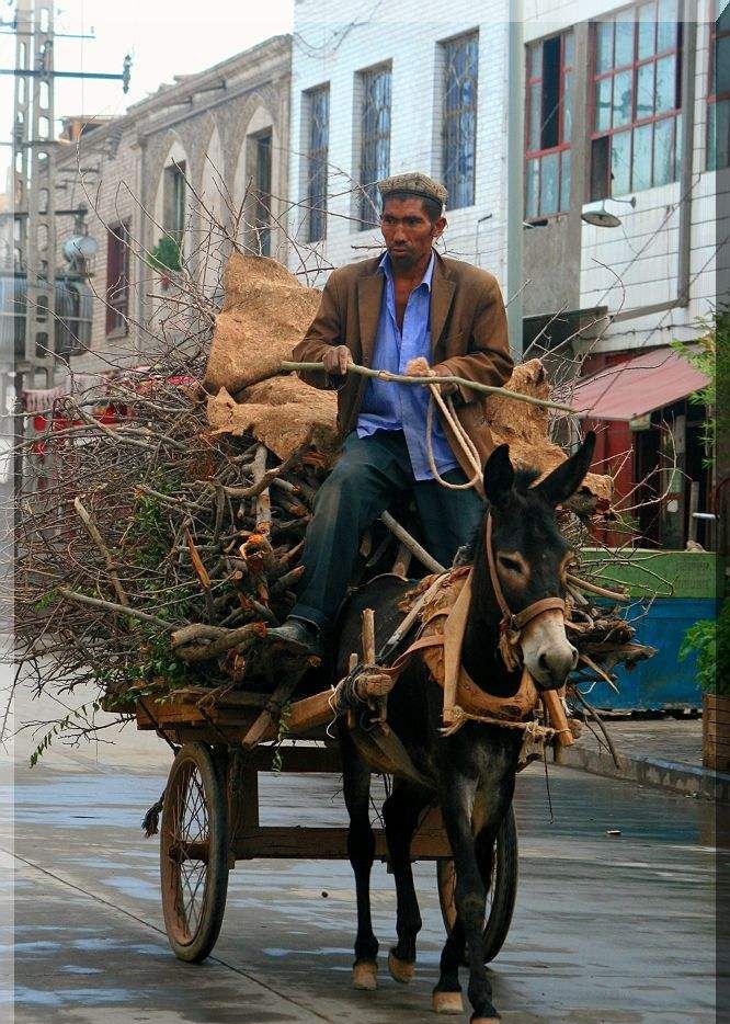 农村老人为了生存赶驴车进城卖菜,没手机不会移动支付,人都走了