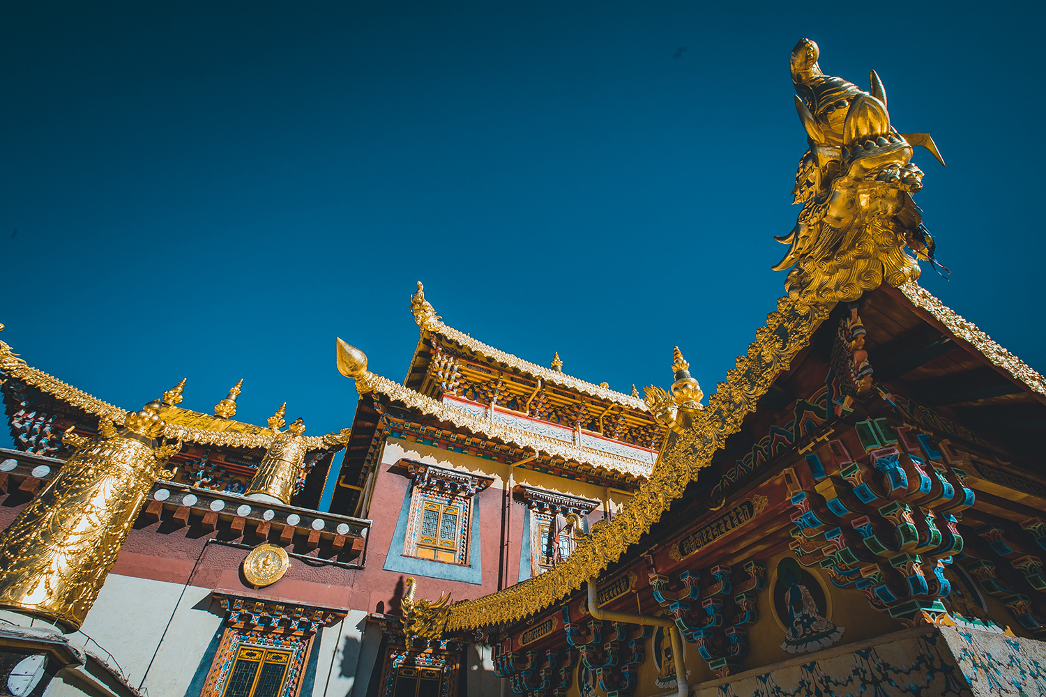 我零下十几度的气温里守候,终于拍到了难得一见的金色松赞林寺