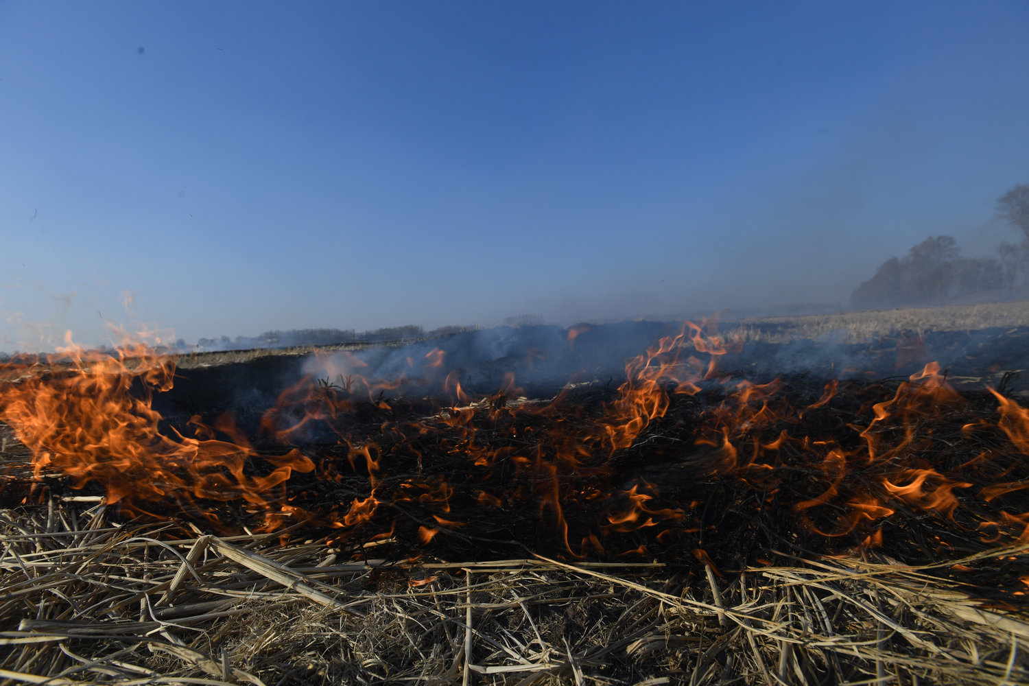 春节期间村民点燃秸秆焚烧 长春市区烟尘弥漫让人窒息
