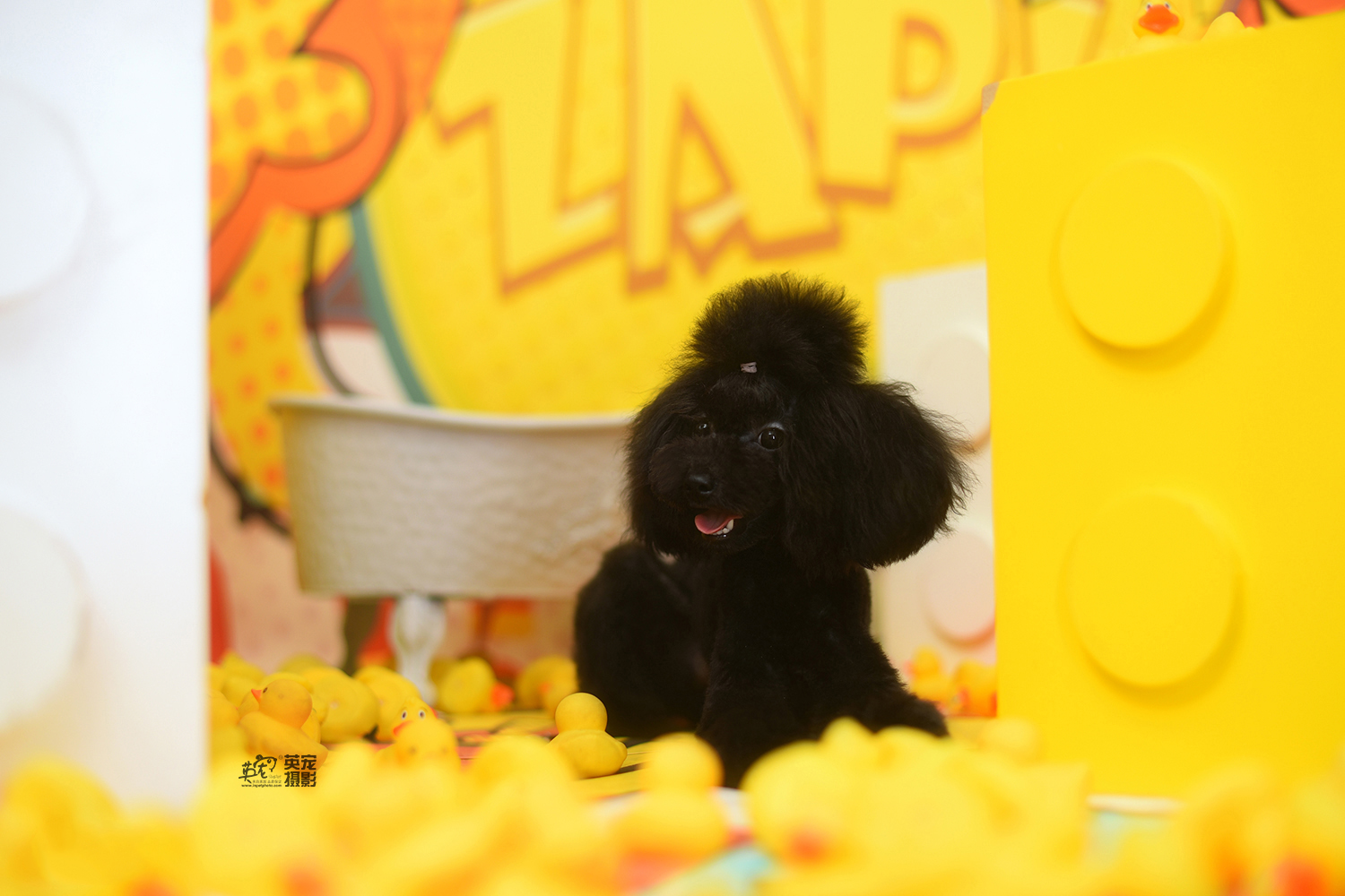 确定了,小黑妞果然跟supreme的景是最最最最般配了