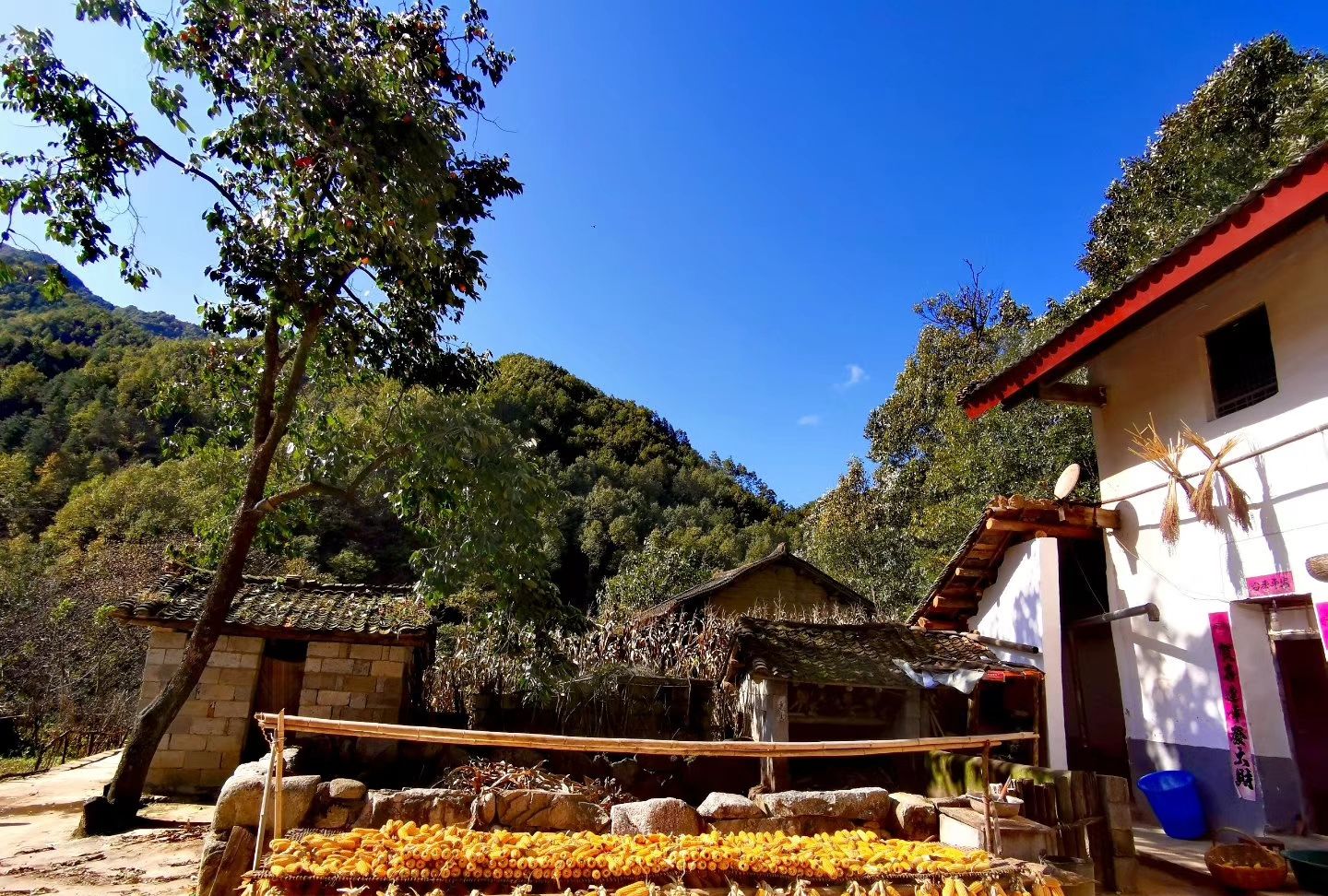 乡村安静和谐一隅