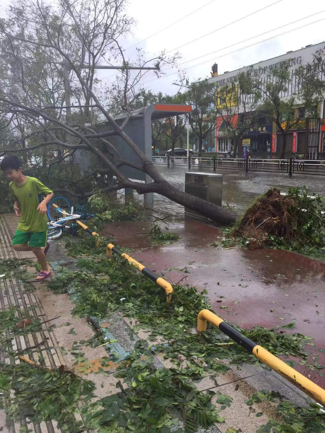 下周将有超强台风