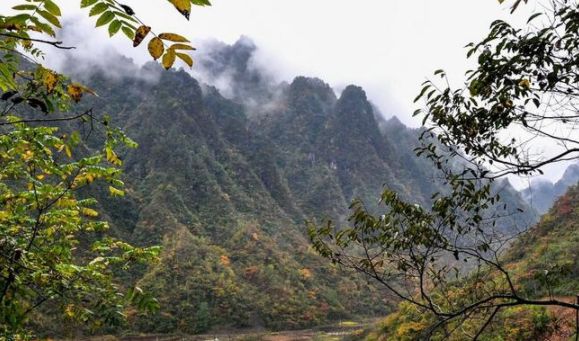 重庆城口亢谷——度假观光、消夏避暑、科考探险的优选之地!|科考|消夏|城口_新浪新闻