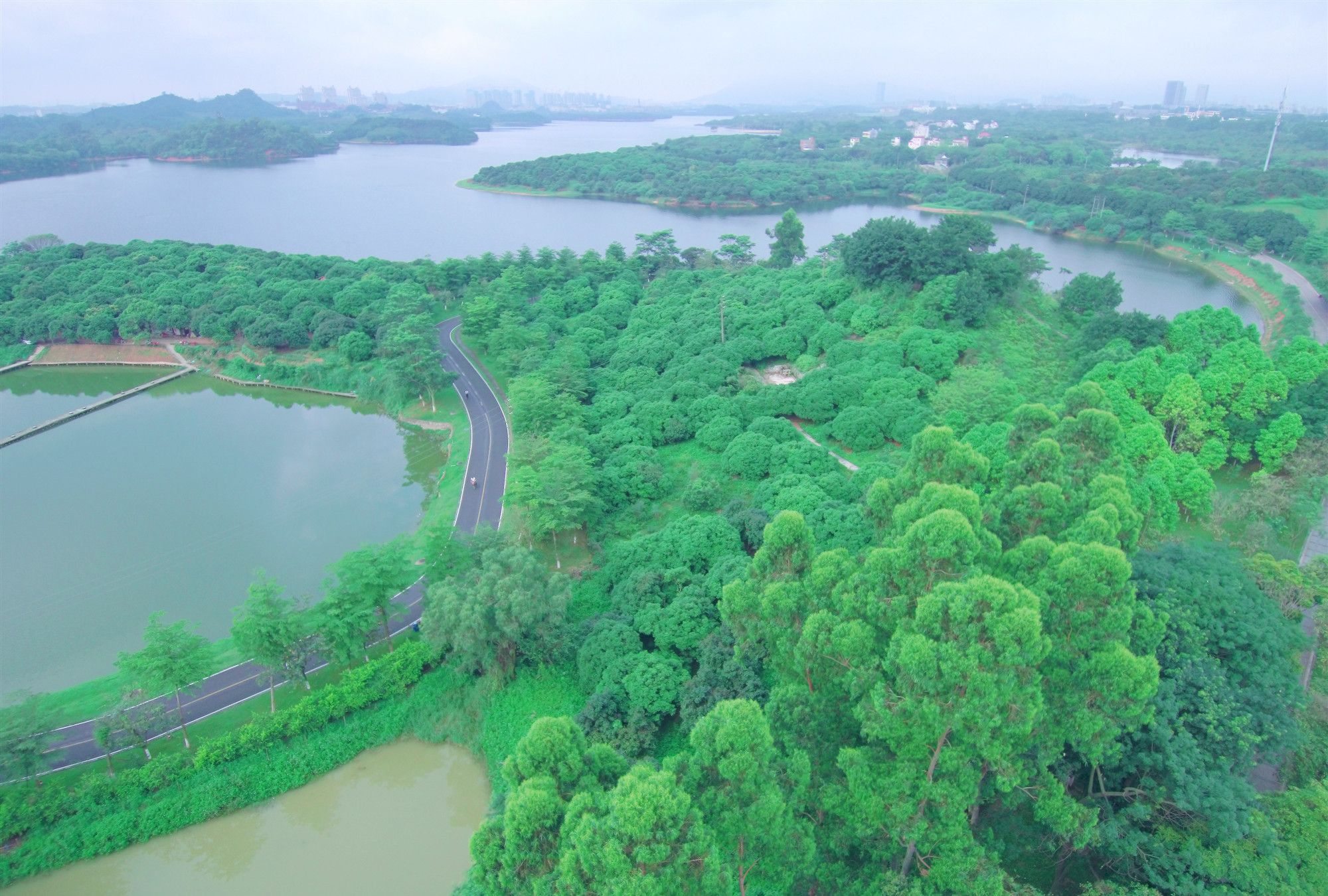 广东东莞松湖烟雨,用无人机去探索,风景太美啦