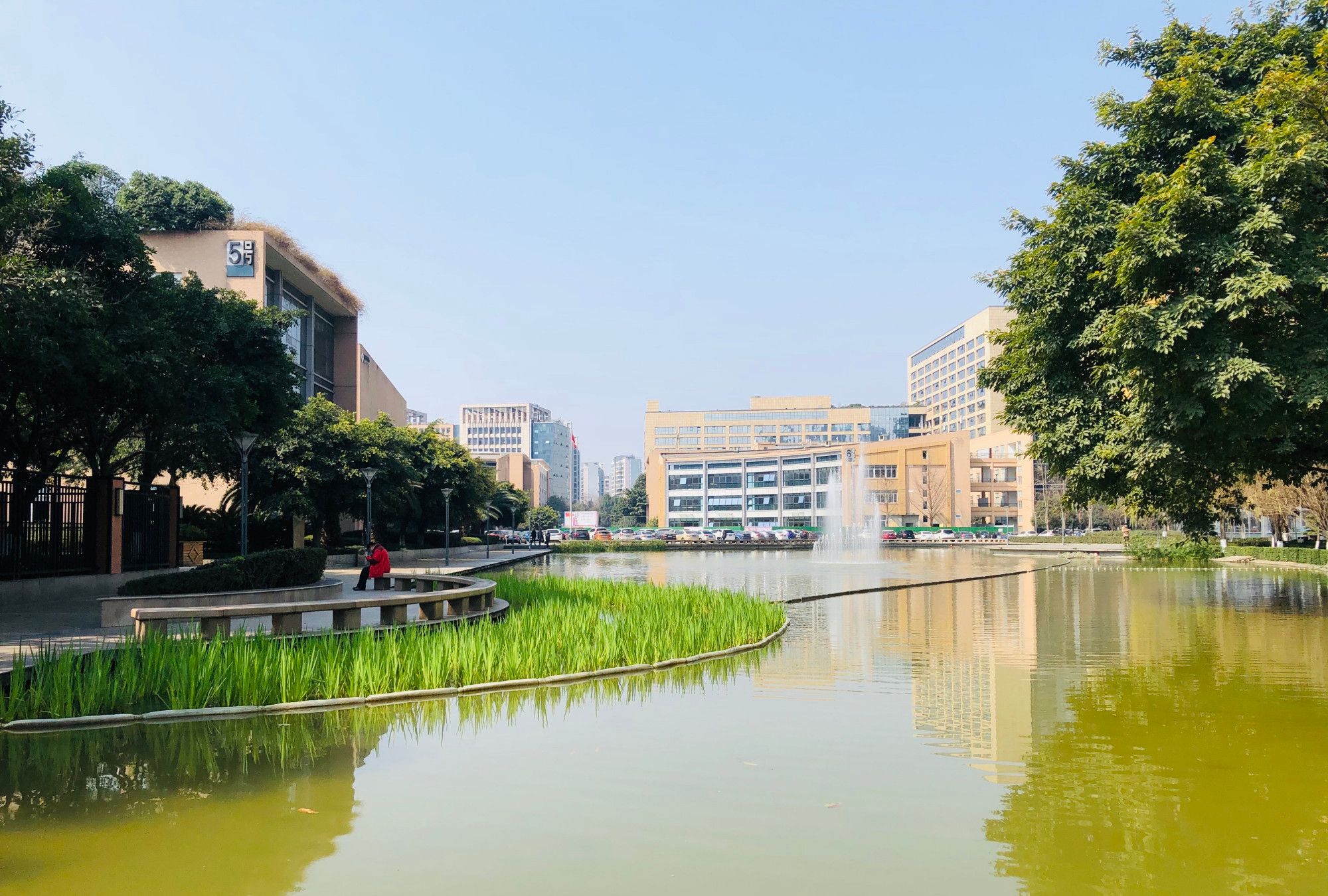 成都天府新区,奥克斯广场的公园景色不错